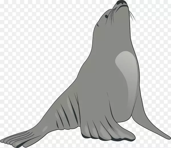 海豹与海狮剪贴画-海洋世界剪贴画