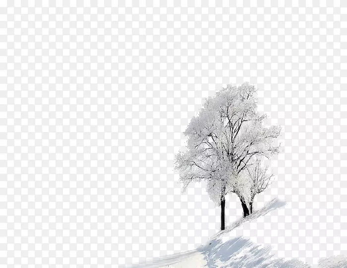 大雪冬季雪墙纸-冬季两棵树