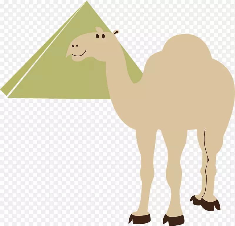 骆驼沙漠剪贴画-沙漠骆驼