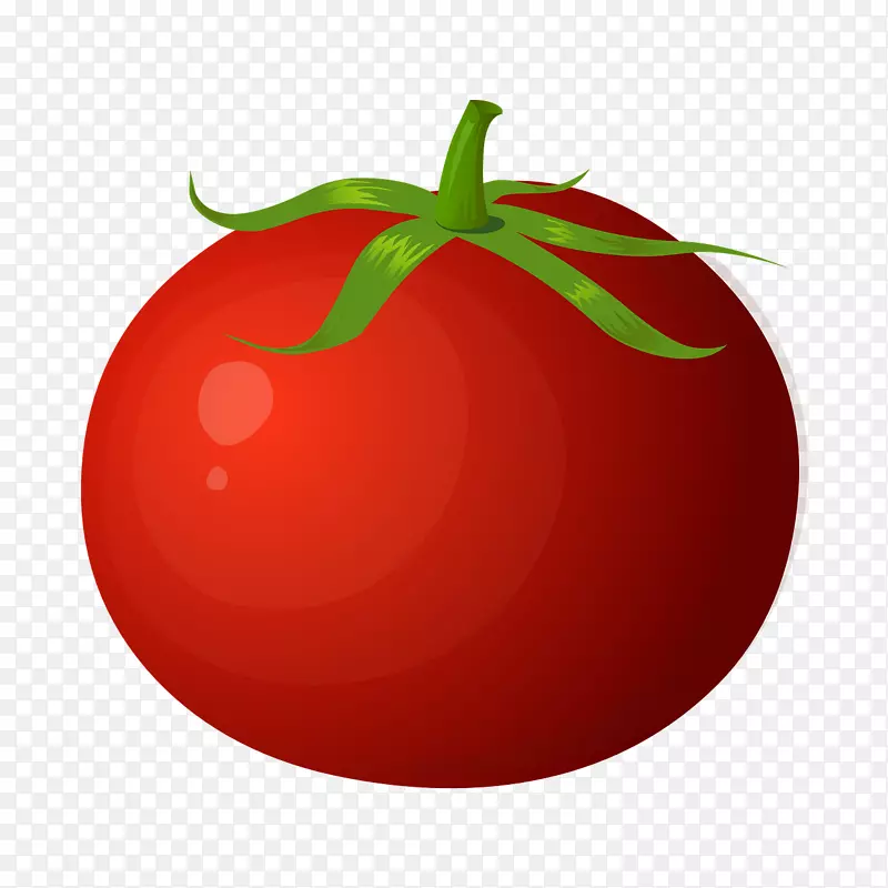番茄蔬菜柚果技术-鲜番茄