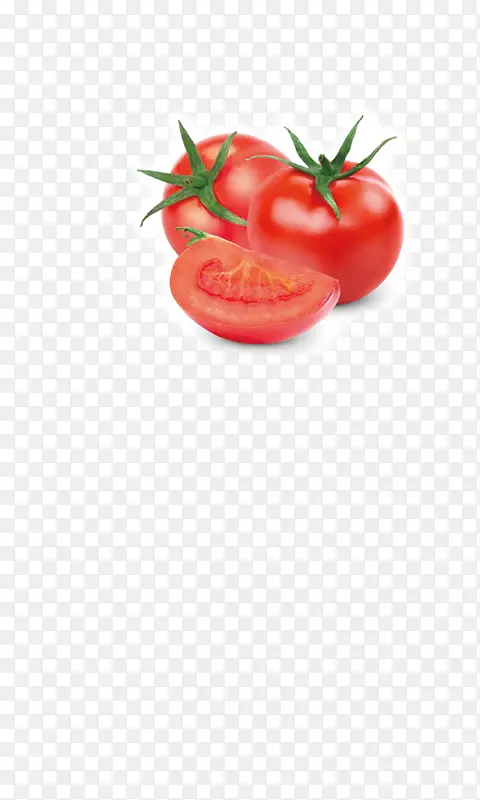 番茄蔬菜水果奥格里斯食品-番茄