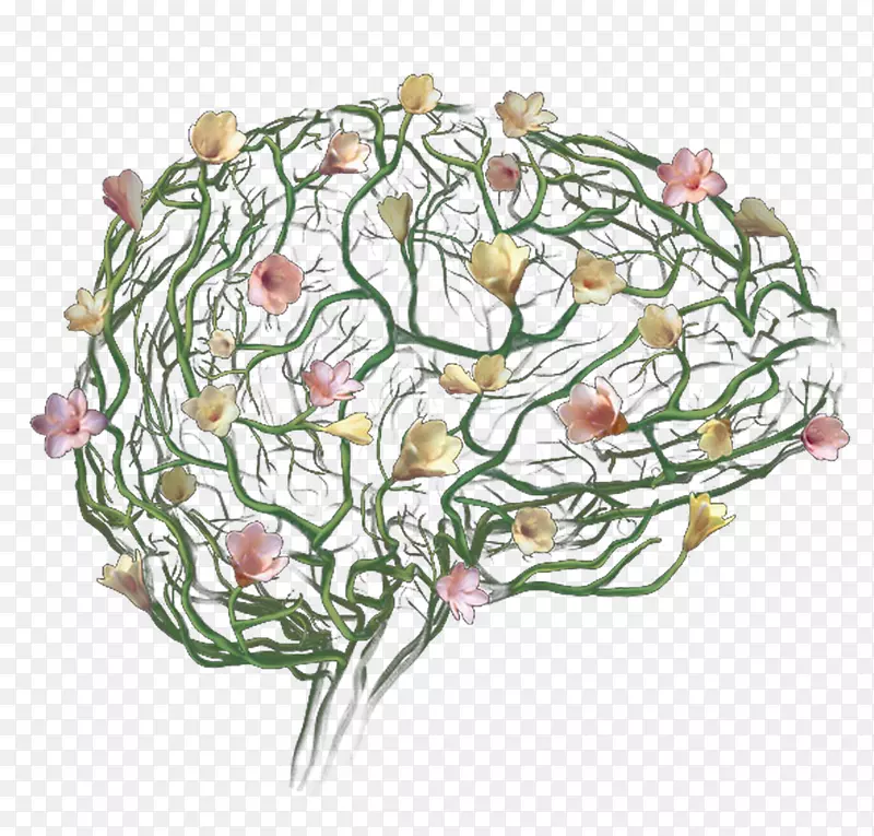 花设计AGY-创造性人脑