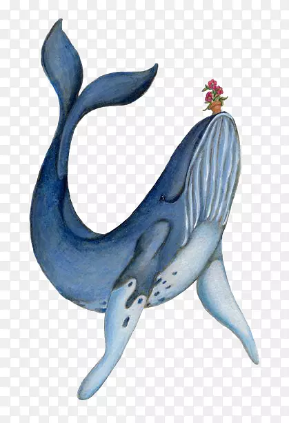 蓝鲸画水彩画插图-卡通蓝鲸
