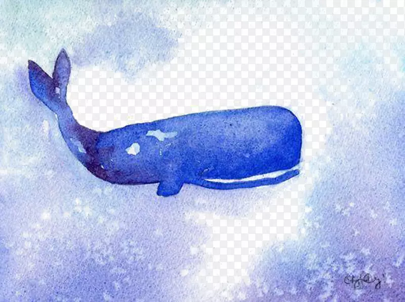 鲸鱼插图.深海鲸鱼图片材料