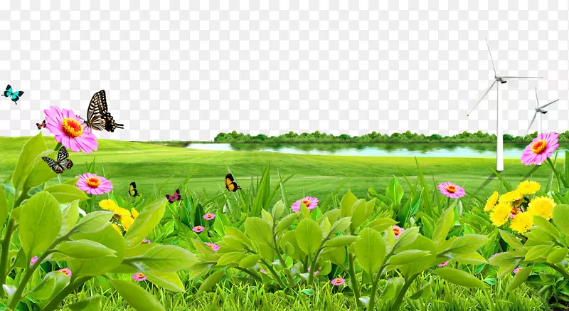 草甸草坪壁纸湖草甸花卉背景材料