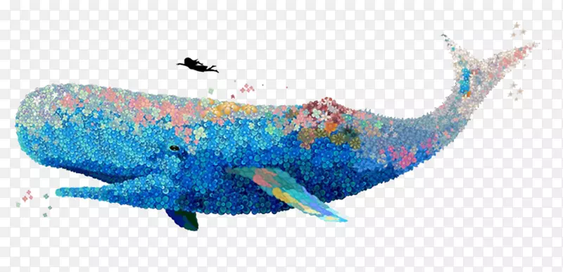 u8354u679d水彩画鲸鱼插图-画鲸鱼