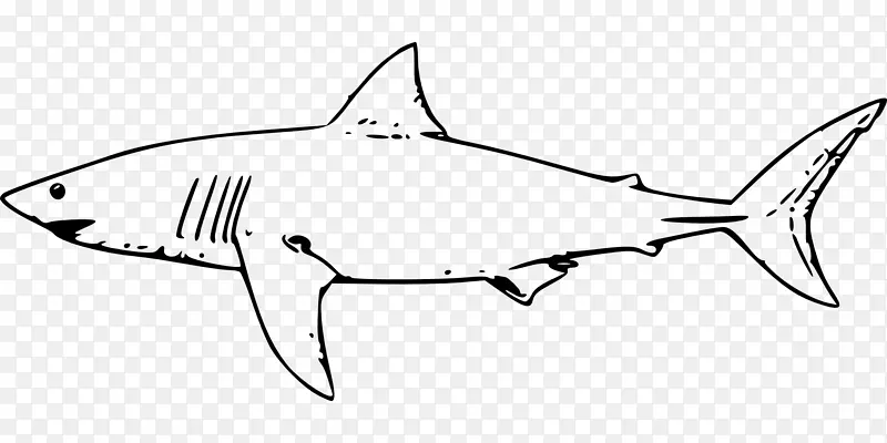 大白鲨剪贴画-凶猛的鲨鱼