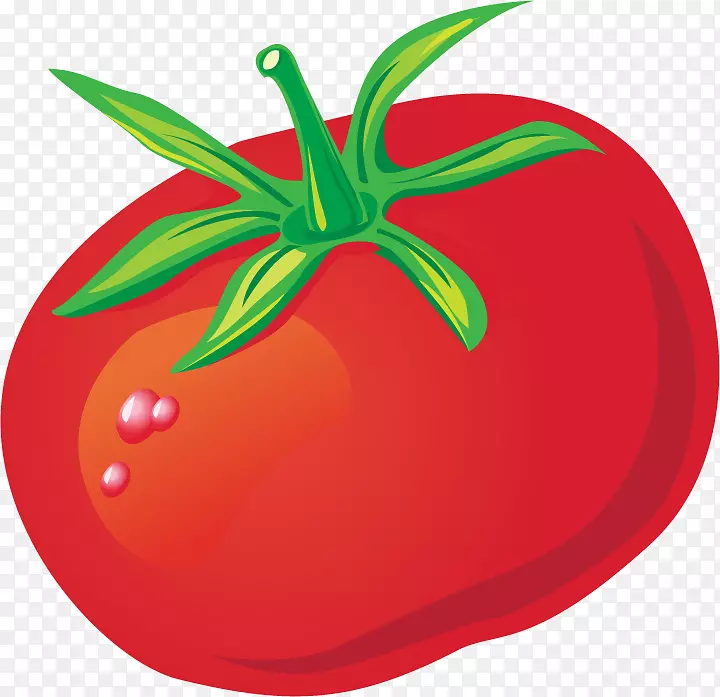 番茄剪贴画-番茄PNG载体材料