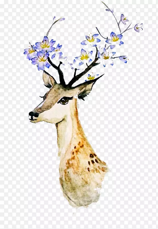 鹿创作水彩画-水彩画鹿