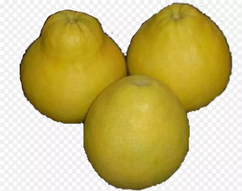 甜柠檬柚子柑橘朱诺-本地绿色葡萄柚