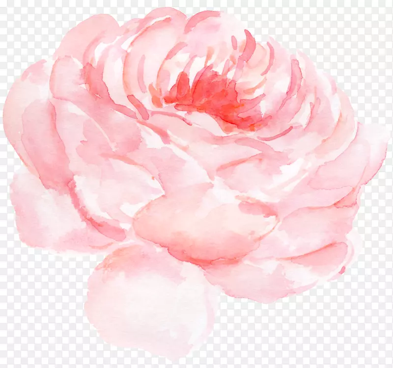 纸蜈蚣玫瑰水彩画夹艺术牡丹花水彩图案