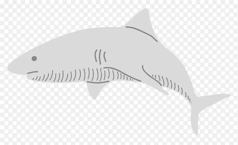 鲨鱼白纹装饰鲨鱼