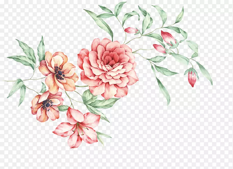 花卉设计牡丹手绘牡丹