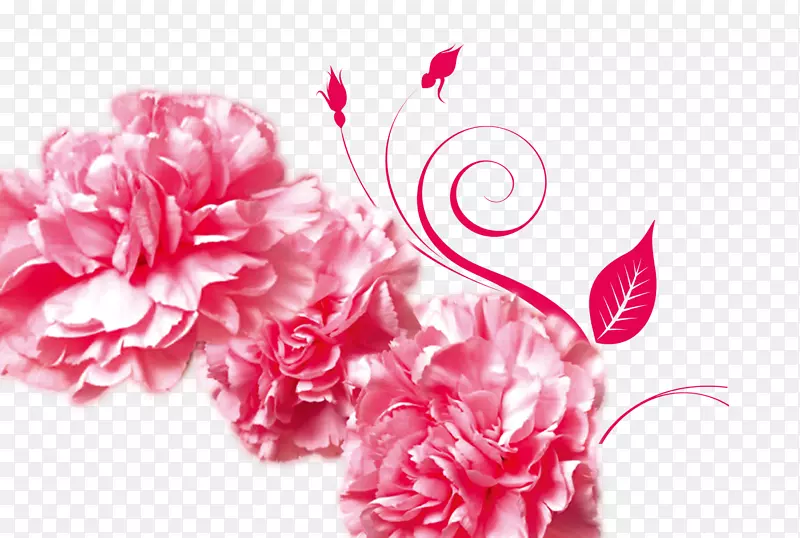 母亲节感恩广告康乃馨红牡丹
