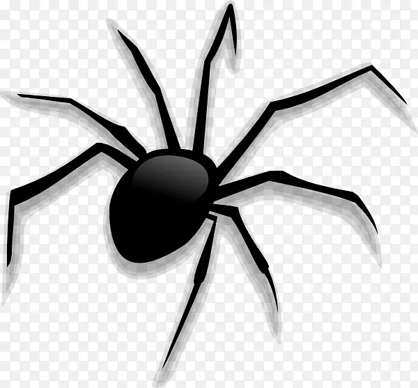 蜘蛛动画剪贴画-可怕的蜘蛛剪贴画
