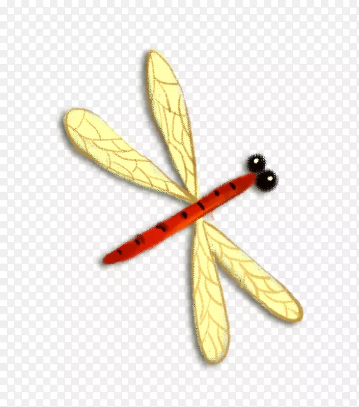 昆虫蜻蜓-飞行蜻蜓