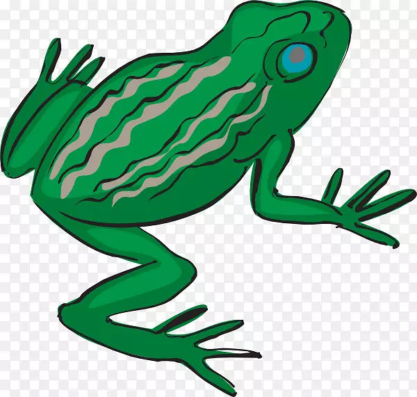 青蛙腿画夹艺术-青蛙眼睛剪贴画