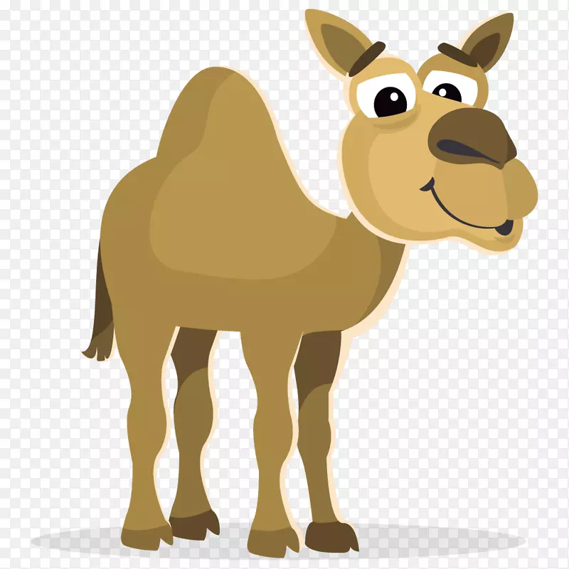 骆驼剪贴画-摩洛哥骆驼悬崖