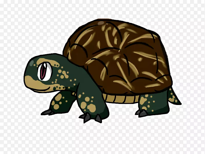塞西尔龟盒海龟卡通插图-带眼镜的卡通海龟