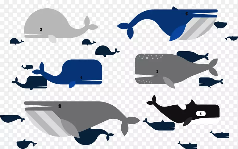 海洋白鲸-鲸