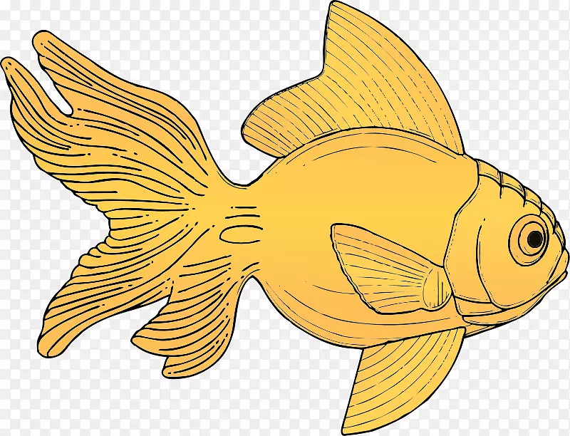 金鱼剪贴画-鱼艺术图片