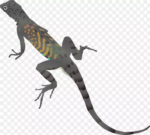 沙漠角蜥蜴得克萨斯州角蜥蜴普通蜥蜴剪贴画蜥蜴卡通图片