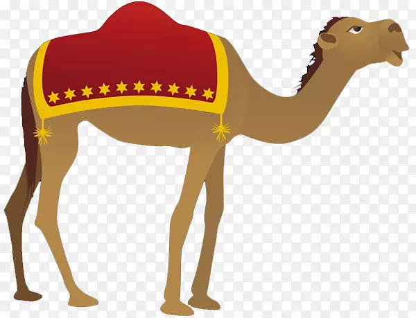 骆驼降生场景剪贴画-摩洛哥骆驼悬崖峭壁