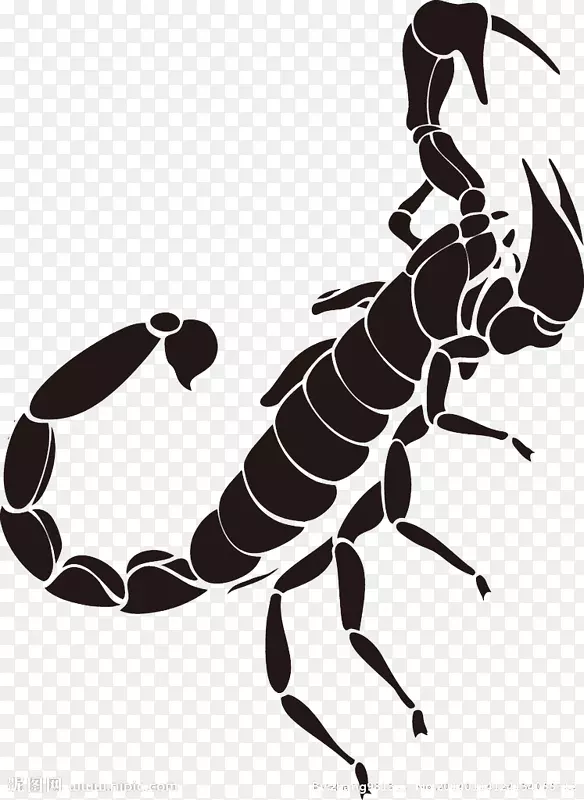 蝎子纹身-黑色蝎子纹身图案