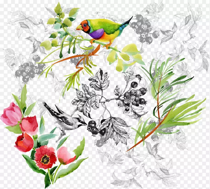 花卉设计水彩画插图卡通鸟
