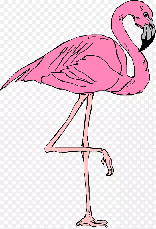 火烈鸟免费内容网站剪贴画-粉红色火烈鸟