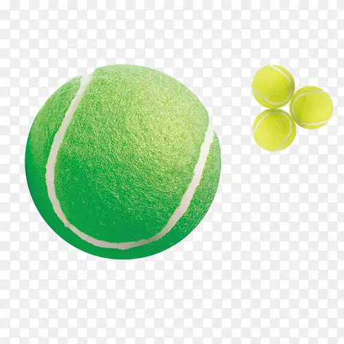 网球-四种不同尺寸的网球