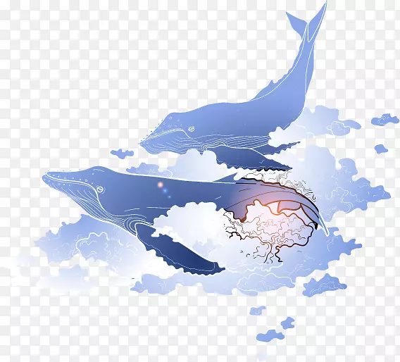 蓝鲸海洋鲸鱼