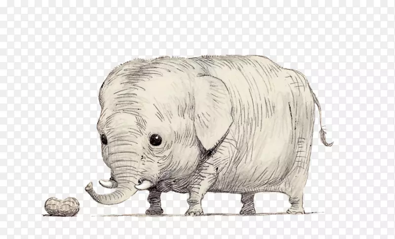 犀牛骑着大象拍摄大象插图-可爱的大象，眼睛大，四肢短，鼻子。