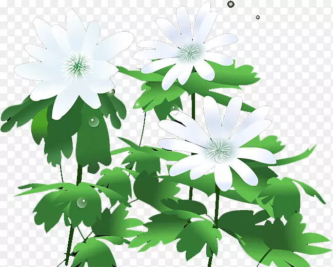 菊花图标-菊花