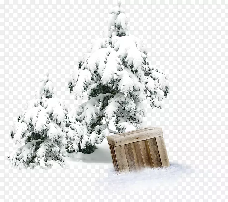 冬季雪树林-冬季松木箱