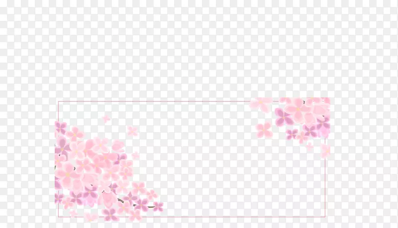 樱花粉红色-美丽的粉红色樱花框架