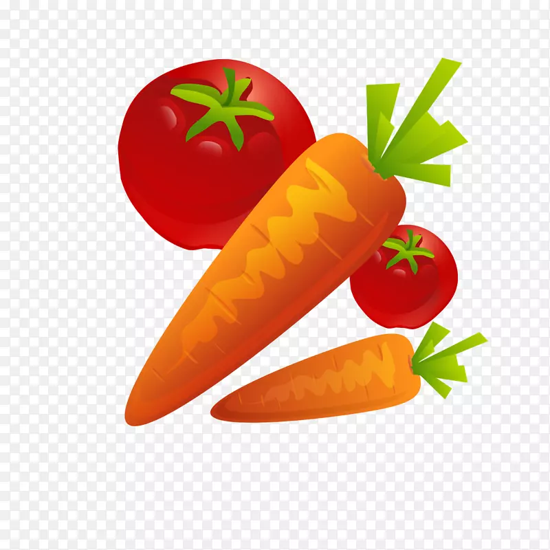 下载图标-胡萝卜和西红柿