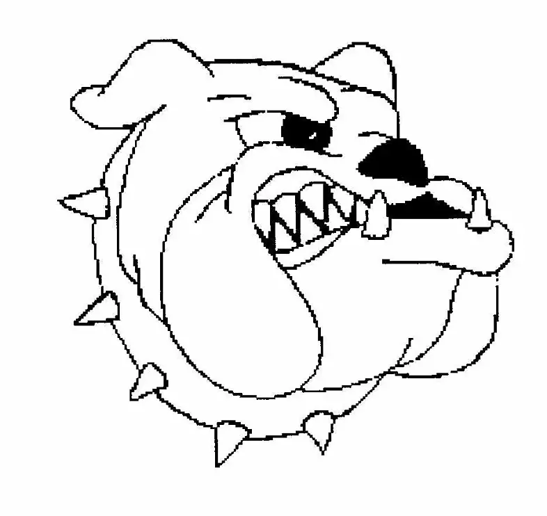 牛头犬画卡通剪辑艺术-牛头犬动画图片