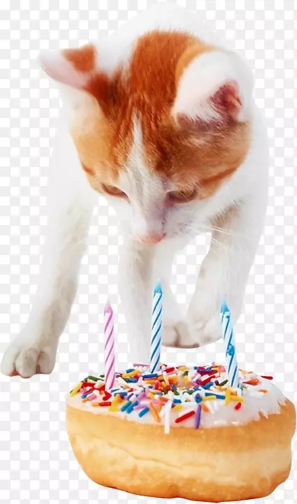 生日蛋糕猫须猫生日蛋糕