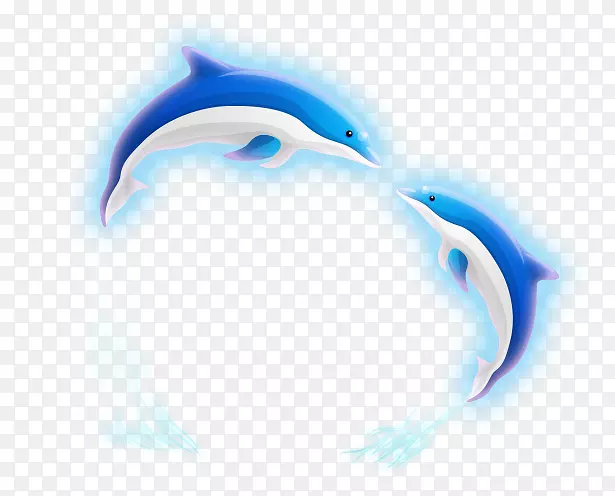 海豚蓝-海豚心形图案