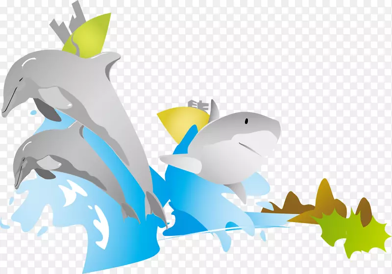 插图-鲜活的灰海豚