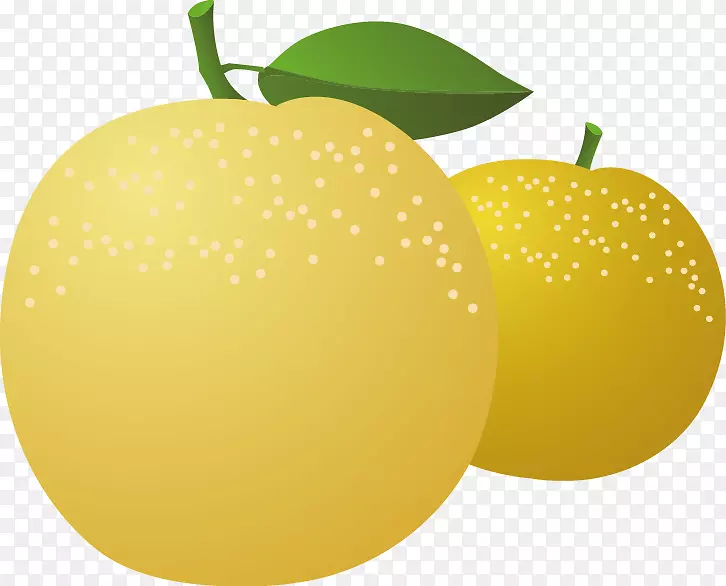 亚洲柠檬梨-苹果梨载体材料