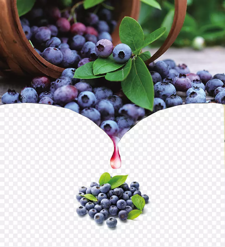 蓝莓果实抗氧化剂蓝莓酒海报