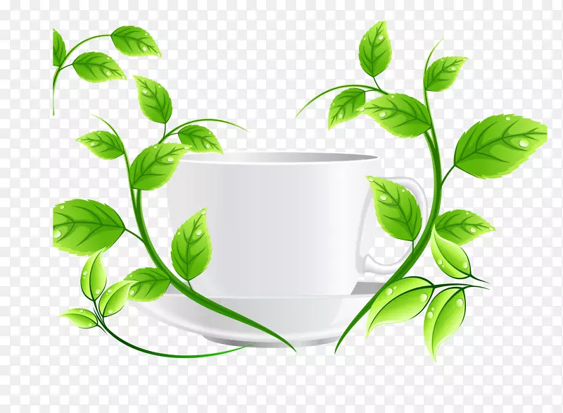 绿茶载体-绿茶杯