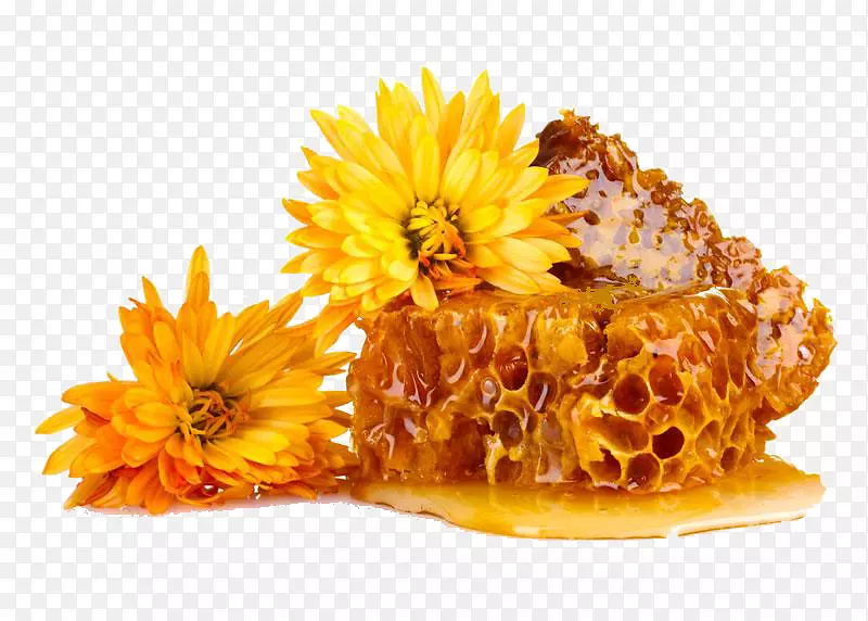 蜂蜡蜂巢蜂胶砧木摄影.菊花蜂蜜花蜜