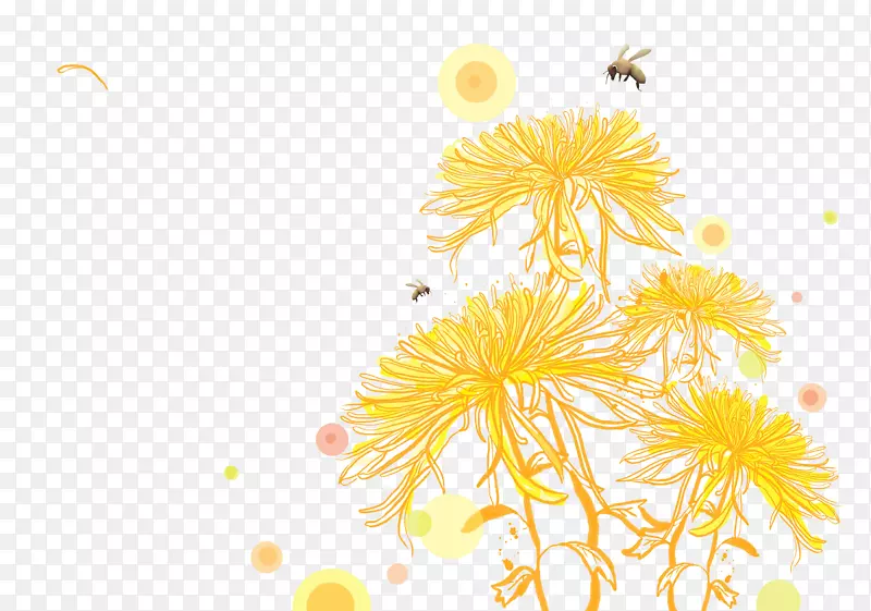 蜜蜂菊花-蜜蜂上的菊花