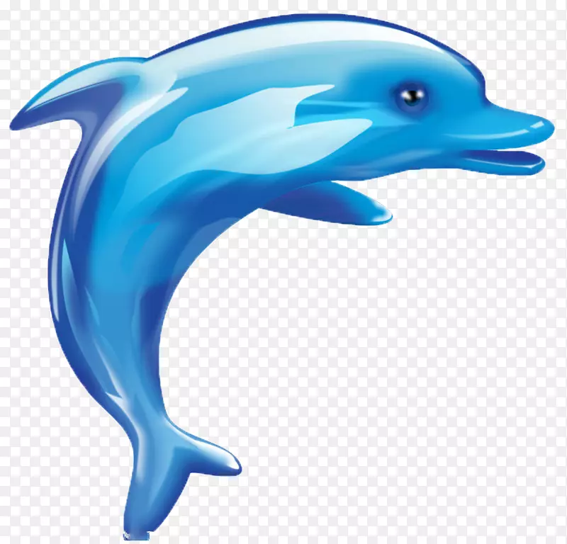 海豚卡通可爱-海豚，动物，可爱