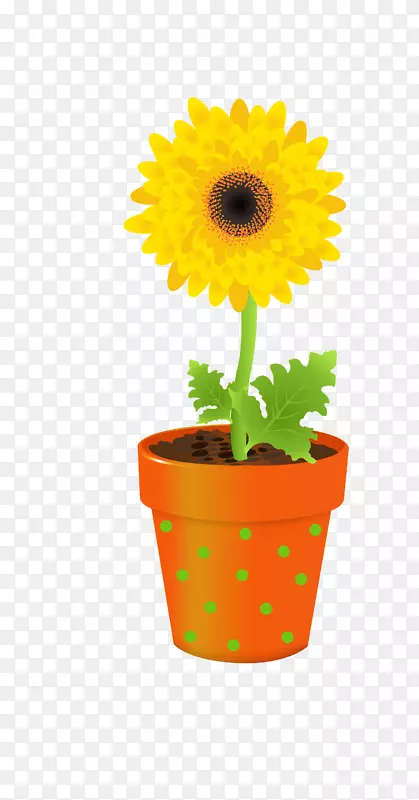 花瓶收藏摄影剪贴画-向日葵