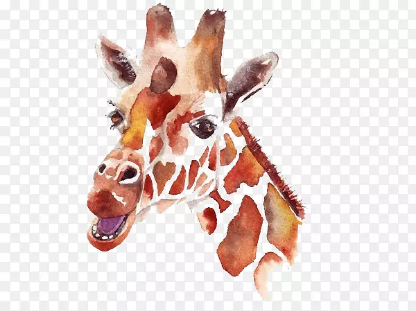 北方长颈鹿水彩画插图手绘长颈鹿插图