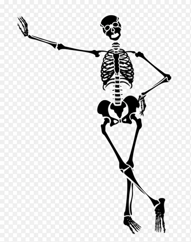 2018年冬奥会上的人类骨骼-男子剪贴画骨骼剪贴画